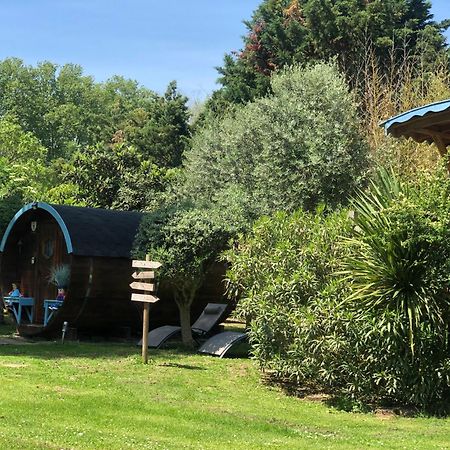 La Bastide De Negra Bed & Breakfast Montesquieu-Lauragais Eksteriør bilde