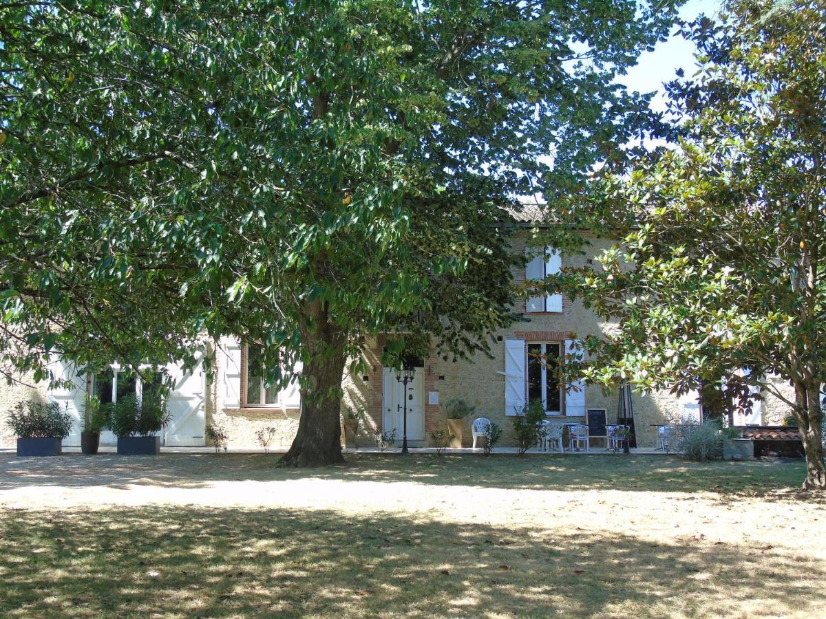 La Bastide De Negra Bed & Breakfast Montesquieu-Lauragais Eksteriør bilde