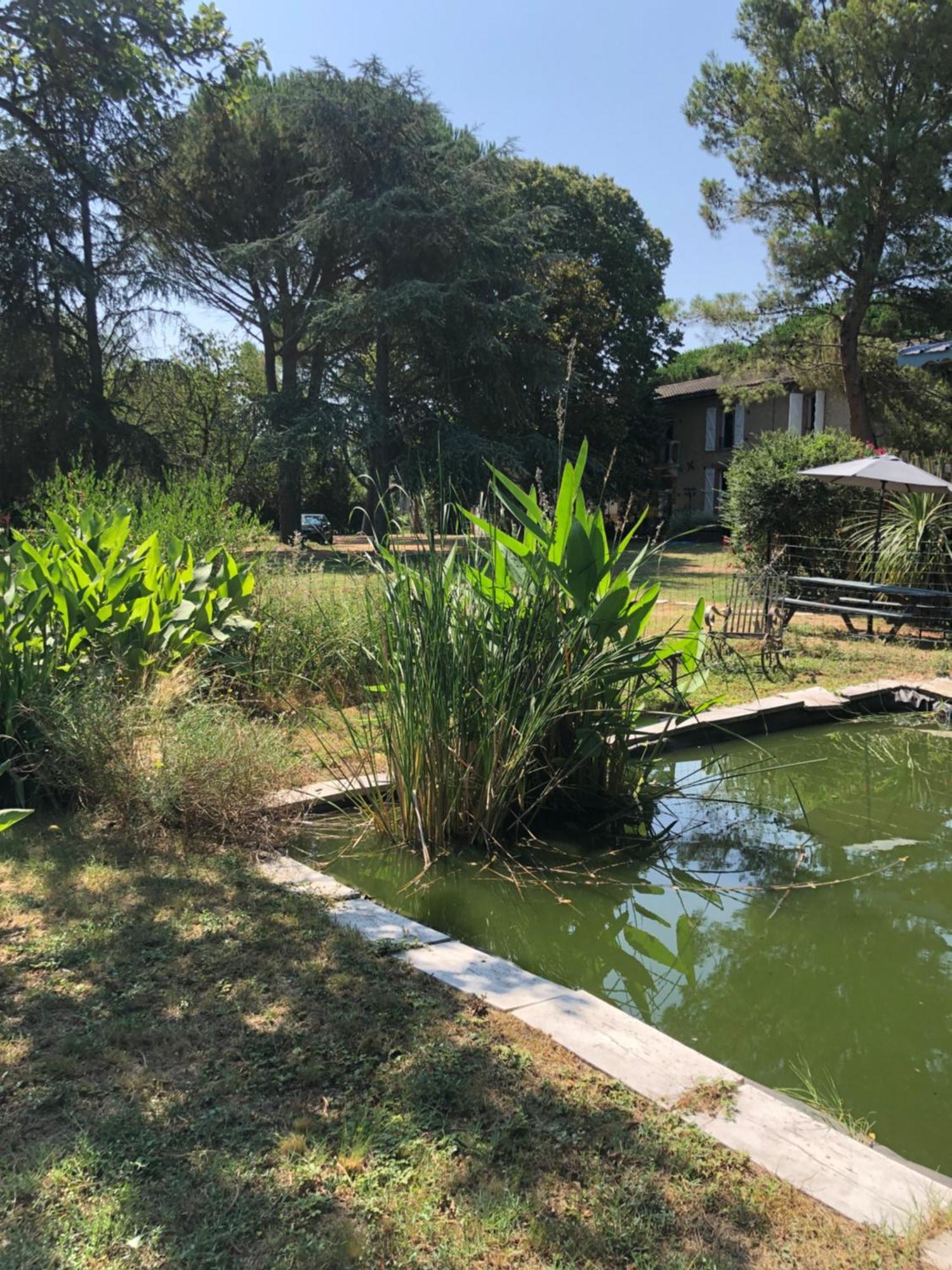 La Bastide De Negra Bed & Breakfast Montesquieu-Lauragais Eksteriør bilde