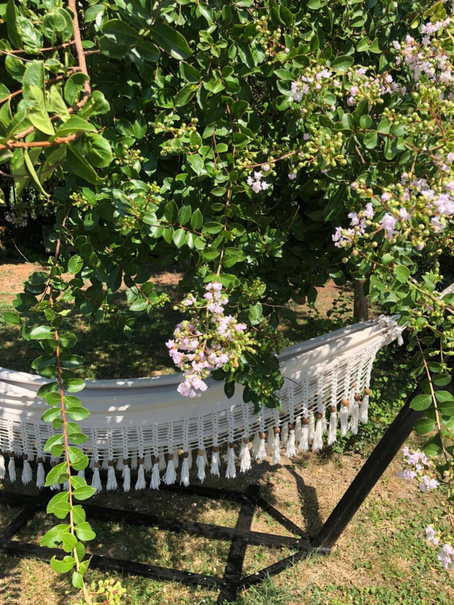 La Bastide De Negra Bed & Breakfast Montesquieu-Lauragais Eksteriør bilde